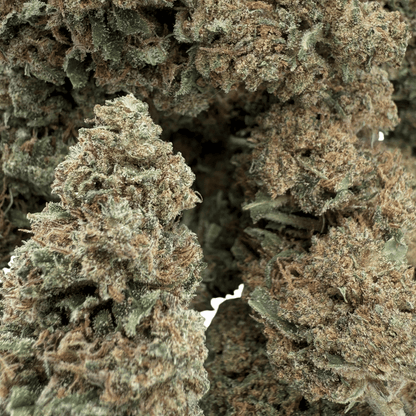 SUPER SKUNK – BIO-CBD-BLÜTE