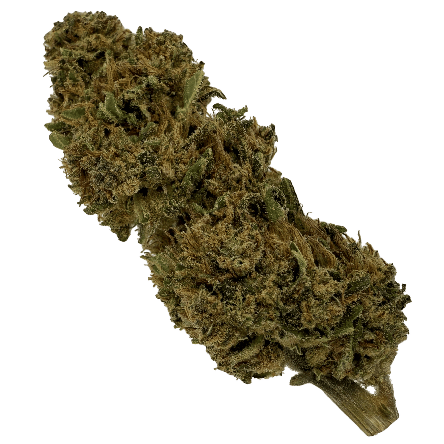SUPER SKUNK – BIO-CBD-BLÜTE