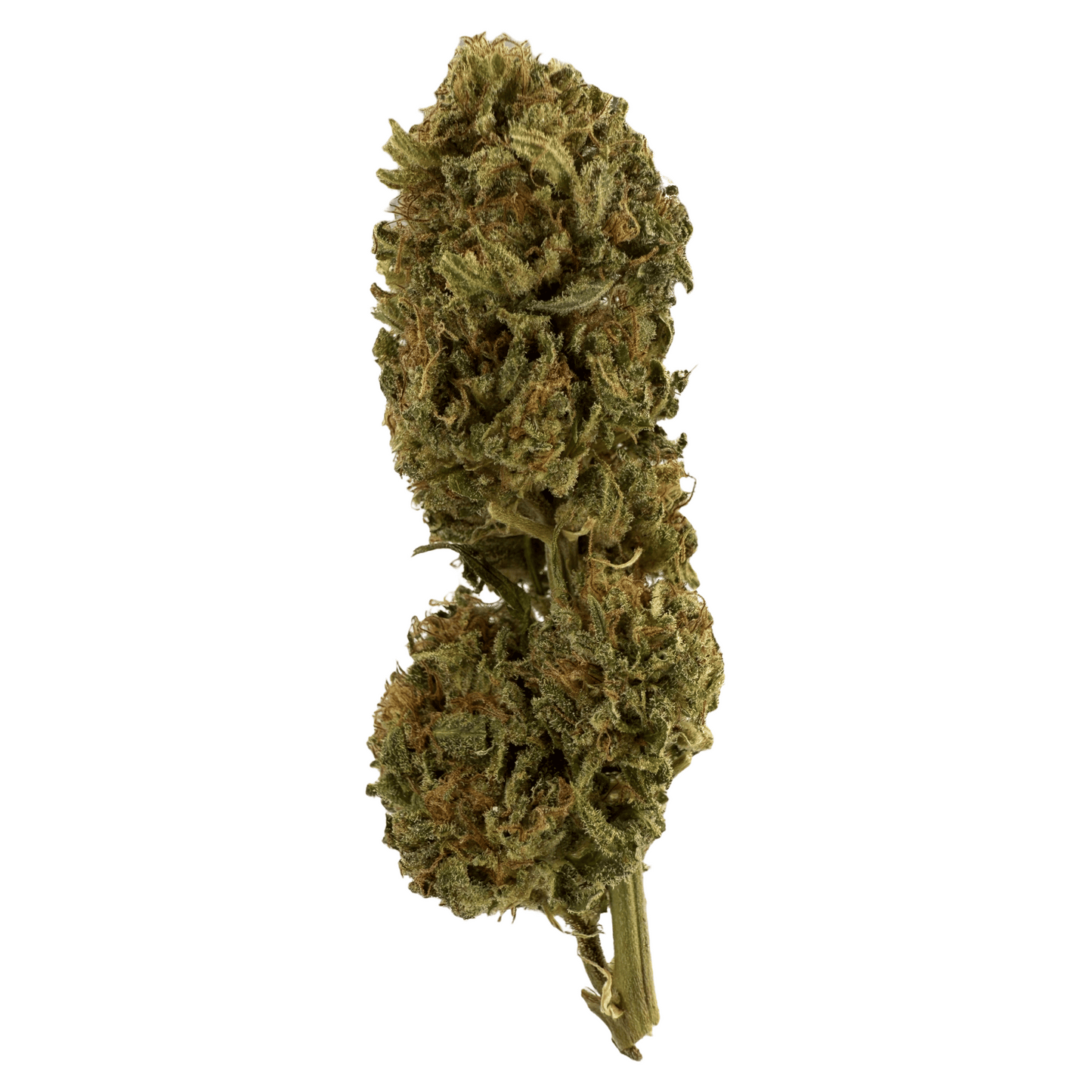 SUPER LEMON – BIO-CBD-BLUME