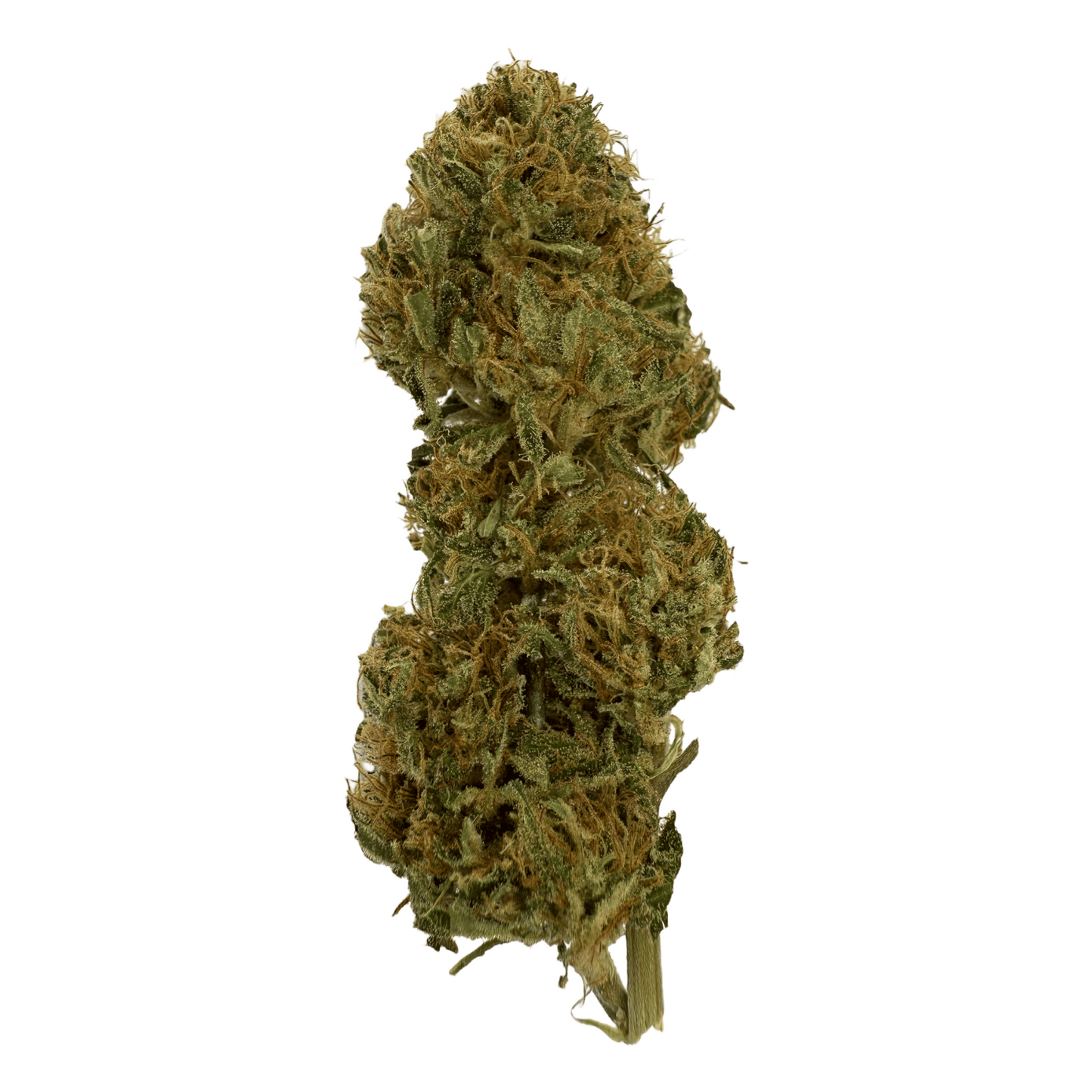 SUPER LEMON – BIO-CBD-BLUME