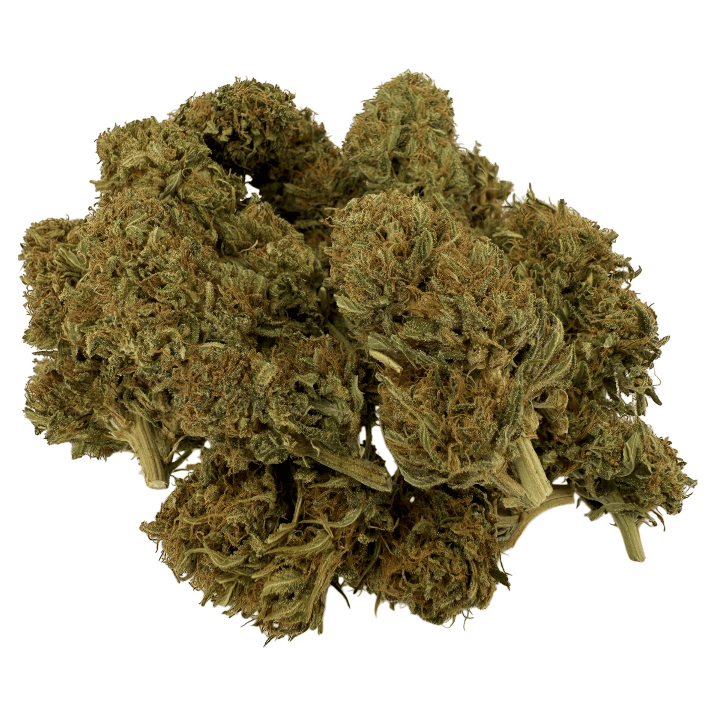 SUPER LEMON – BIO-CBD-BLUME