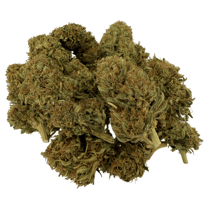 SUPER LEMON – BIO-CBD-BLUME
