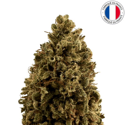 SUVER HAZE - Fleur de CBD bio (Amour de Chanvre)