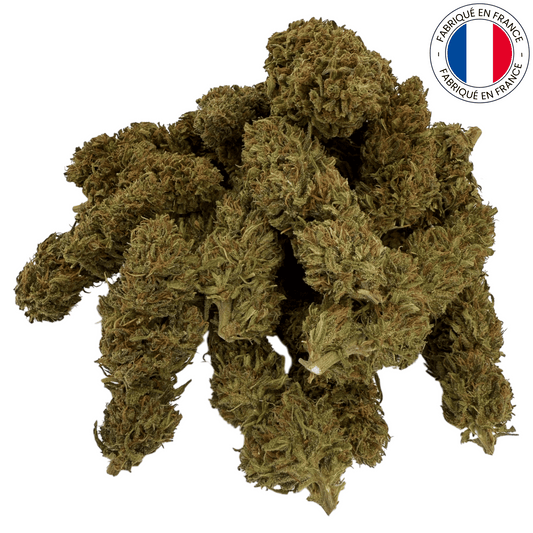 Tropical CBDV - Fleur de CBDV bio (Amour de Chanvre)