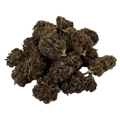 TROPICAL PURPLE – BIO-CBD-BLÜTE