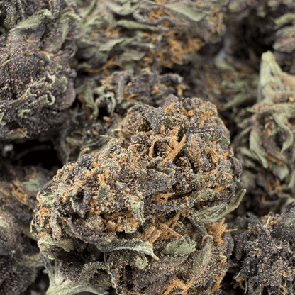 TROPICAL PURPLE – BIO-CBD-BLÜTE