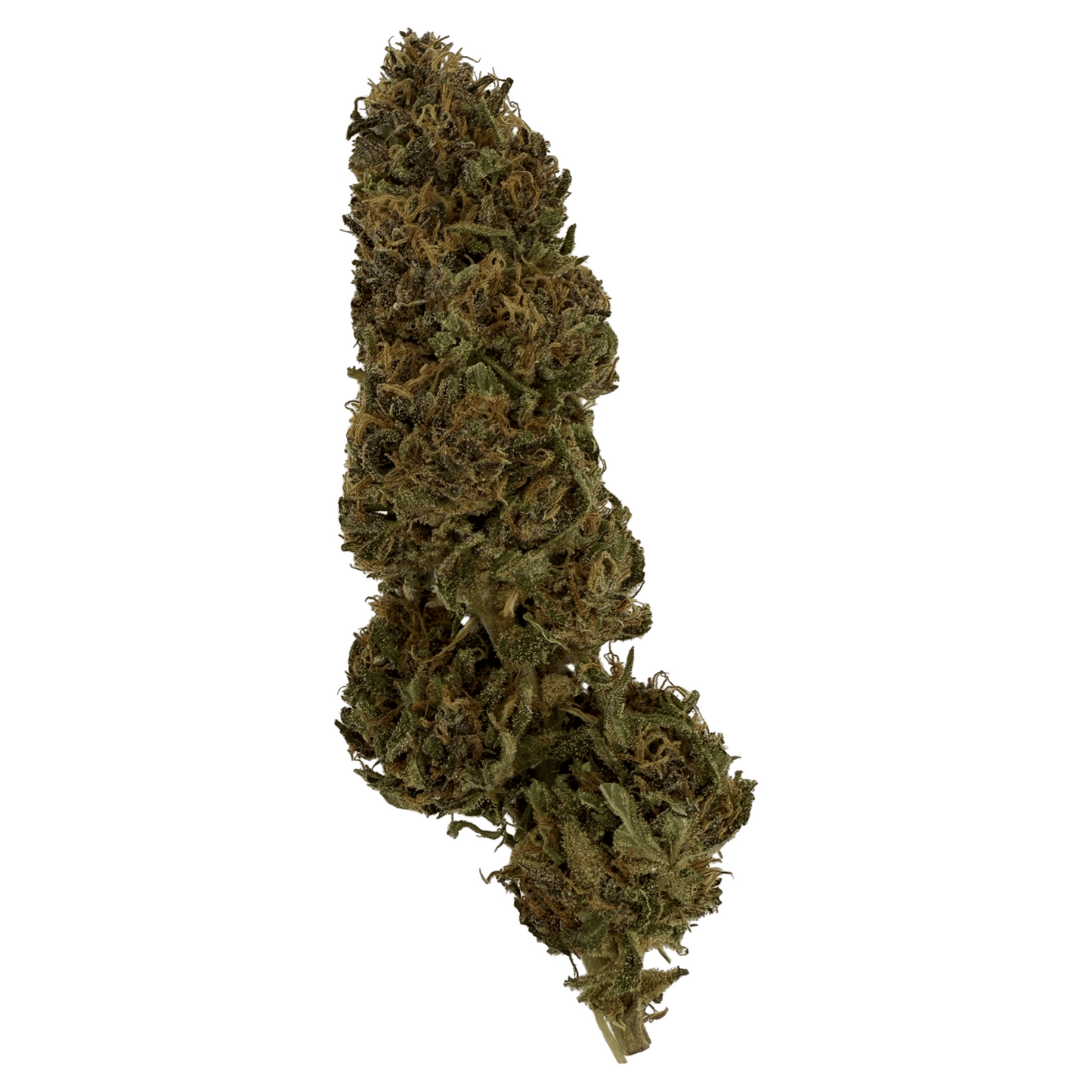 WHITE WIDOW – BIO-CBD-BLÜTE