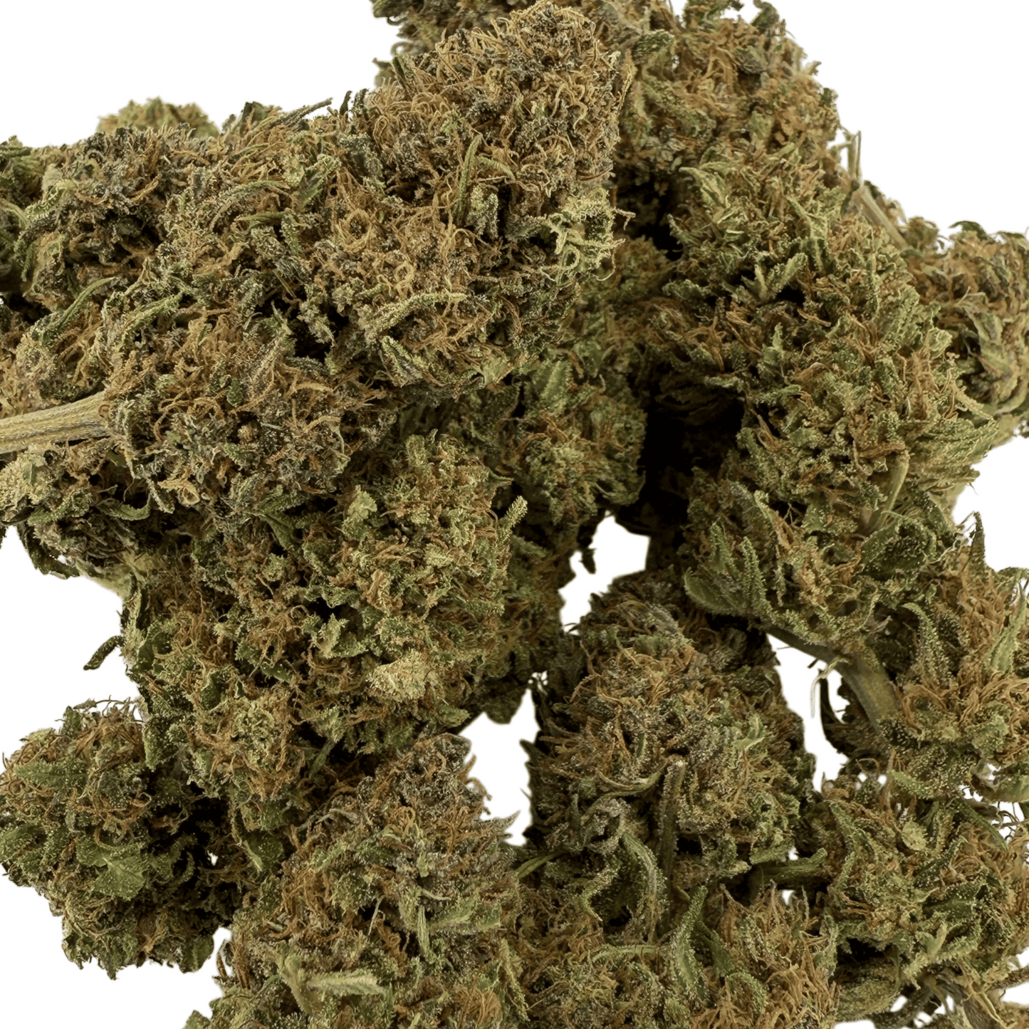 WHITE WIDOW – BIO-CBD-BLÜTE